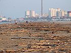 Detriti in spiagga a Senigallia