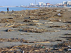 Detriti in spiagga a Senigallia