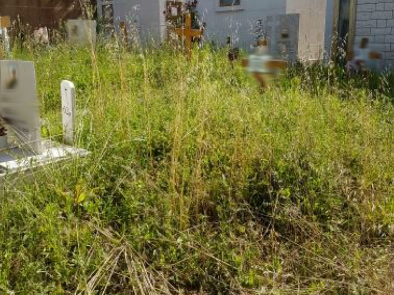 Scarsa manutenzione al cimitero delle Grazie 