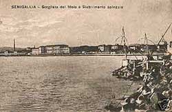 Senigallia - Porto