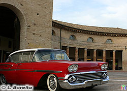 Senigallia - Summer Jamboree